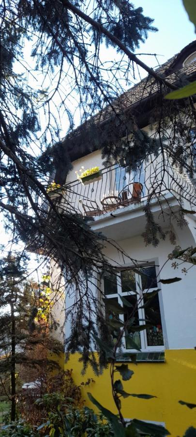 Mountain Villa View Apartment Єленя-Ґура Екстер'єр фото